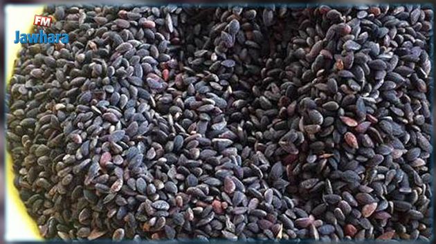 نابل: حجز 540 كغ من مادة الزقوقو دون سندات قانونية