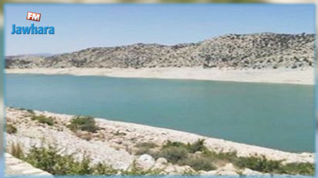 نسبة امتلاء السدود لا تتجاوز 32 %