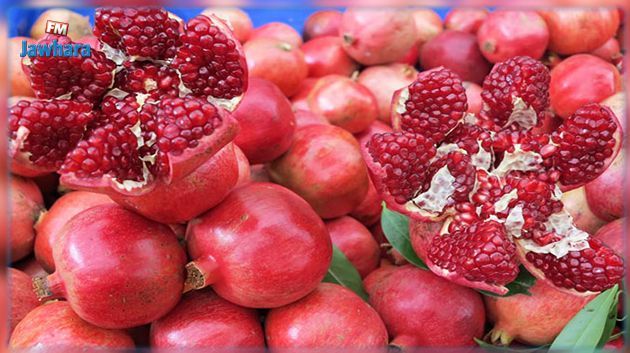 إنتاج تونس من الرمان يتجاوز 102 ألف طن