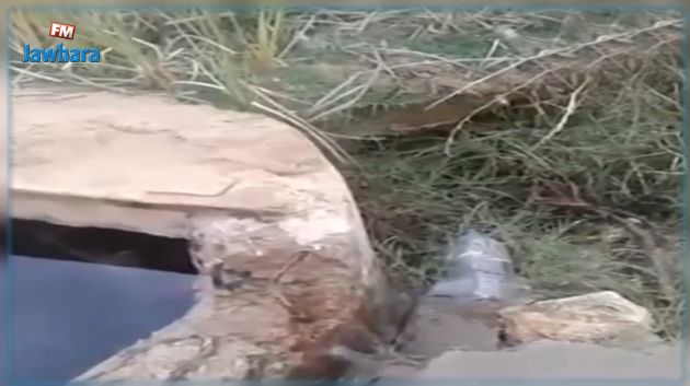 البرجين: تسرّب لمياه 
