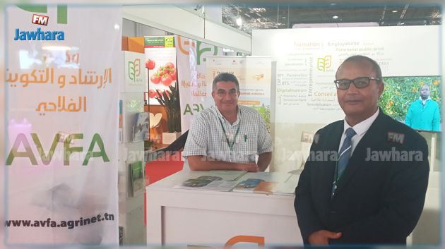 وكالة الارشاد الفلاحي: إقبال من أصحاب الشهادات العليا على الاستثمار في الفلاحة