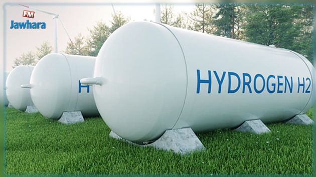 عماد درويش : تونس لديها كل الإمكانيات لإنتاج الهيدروجين الأخضر وتصديره لأوروبا