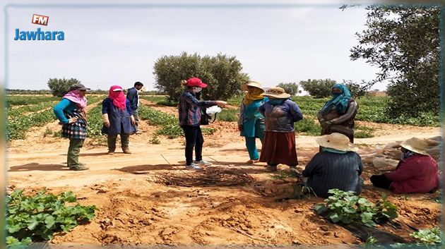 في 7 ولايات : إحداث 21 من المجامع النسائية في اطار التمكين الإقتصادي والإجتماعي للمرأة بالوسط الريفي