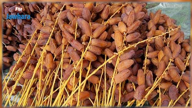 قبلي: فلاحون يُطالبون باحترام تسعيرة شراء التّمور المُتّفق عليها