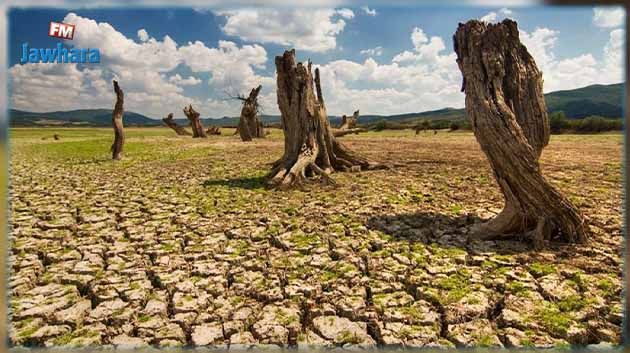 محرز الغنوشي: تواصل غياب مؤشرات الأمطار حتى يوم 7 نوفمبر القادم 