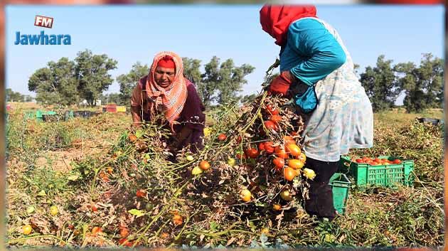 جمعية تالة المتضامنة: 