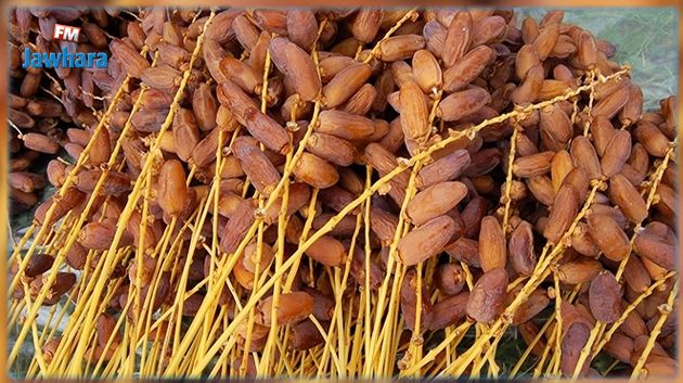 قبلي: تعليق الاعتصام والمطالبة بتحديد التّسعيرة المرجعيّة للتّمور