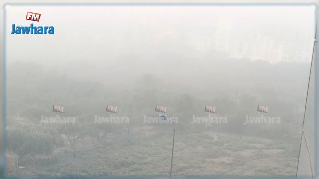  تقشع الضباب بداية من الساعة التاسعة صباحا