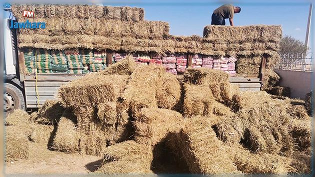 الديوانة تحبط محاولة تهريب أكثر من 6 أطنان من المواد الغذائية المدعمة