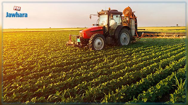 ارتفاع قيمة الاستثمارات الفلاحية