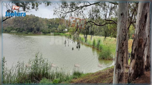 درجات الحرارة المُتوقّعة اليوم الاربعاء