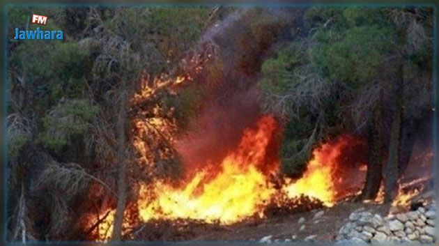 طبرقة: خلية أزمة وحالة استنفار قصوى بسبب توسع دائرة الحرائق