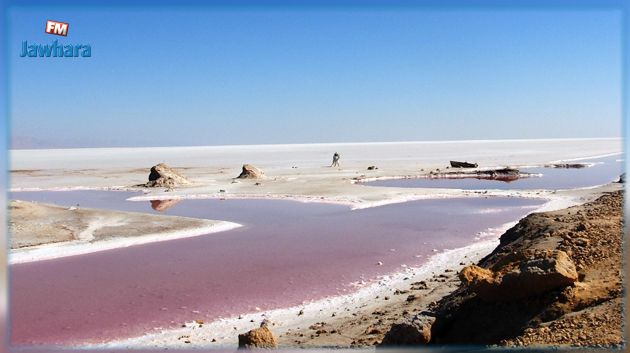 وزارة الصناعة توافق على تأسيس رخصة البحث عن المواد المعدنية 