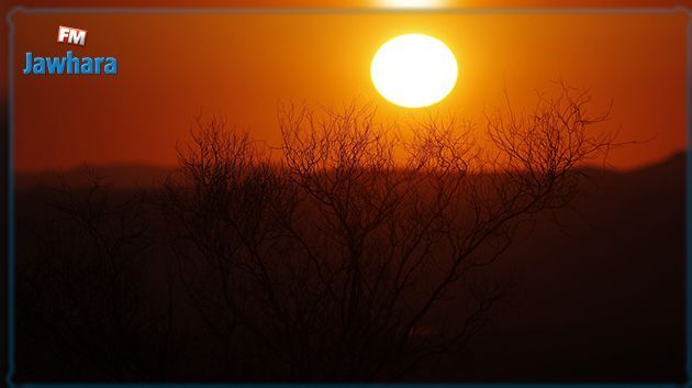 تقرير.. الأمن الغذائي مهدّد  في تونس 