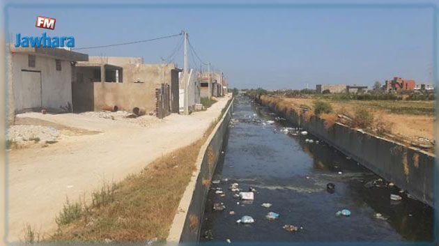 لبحث حلول للوضع البيئي المّتردي: وزيرة البيئة تتغيّب عن اجتماع مع وفد ممثل لسكّان أريانة الشمالية