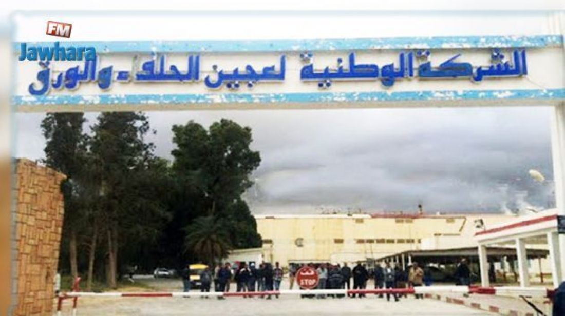 وزارة الصناعة توضح بخصوص وضعيّة شركة عجين الحلفاء والورق وزارة الصناعة توضح بخصوص وضعيّة شركة عجين الحلفاء والورق