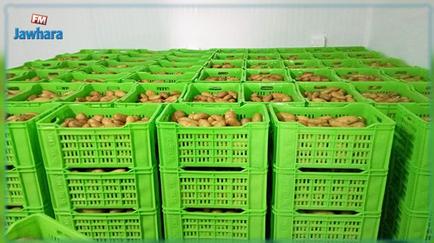 القصرين: حجز 5,5 أطنان من 