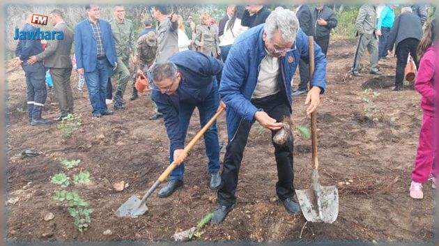 بنزرت: إعادة تشجير الموقع الغابي المحترق بمنطقة الرمال 