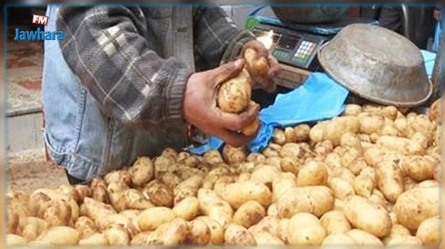 نابل: توقّعات بتراجع أسعار 