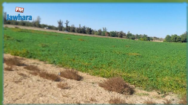 صفاقس: استرجاع عقار دوليّ فلاحيّ بمساحة 34 هك