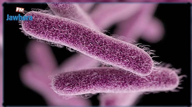 سوسة: تسجيل إصابة بالشيغالا وتماثلها للشفاء