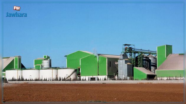 إيقاف نشاط مصنع 'حبوب قرطاج' بزغوان: تداعيات خطيرة على قطاع الأعلاف ومخزون الزيت النباتي