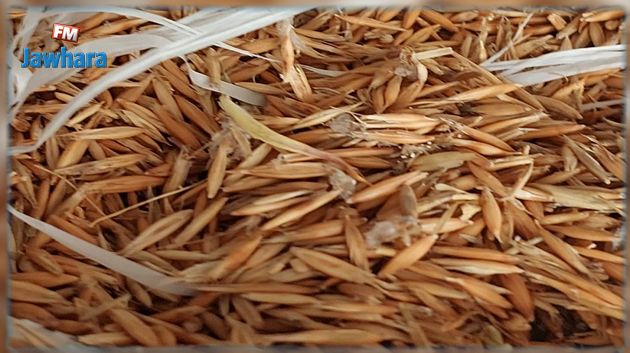 احباط محاولة تهريب 21.5 طنا من المواد الفلاحية المدعمة