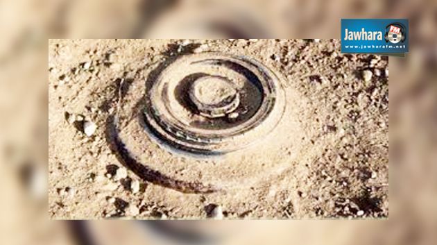 قبلي : العثور على لغم يعود إلى الحرب العالمية الثانية
