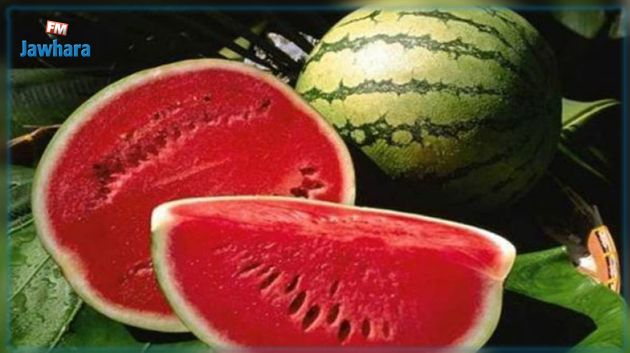 دلاّع في الشتاء بمدنين : الفلاّح يوضّح (فيديو)