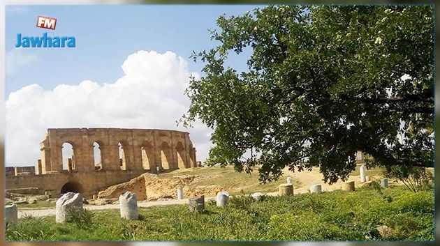 يعملون على بحث علمي حول الفلاحة في العهد الروماني.. يابانيون يطلعون على موقع أوذنة الأثري