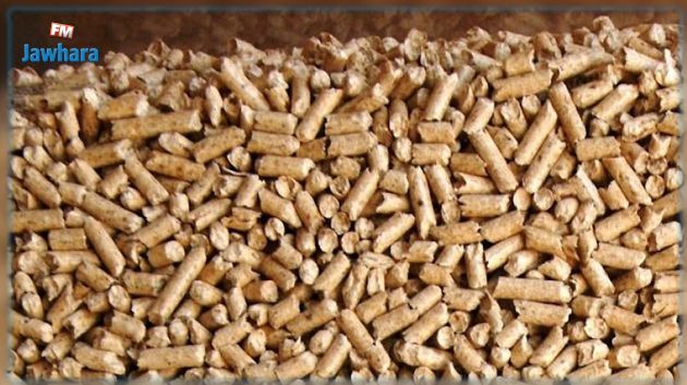 الدعوة الى الترفيع في أسعار الحليب والتحكم في كلفة انتاج الأعلاف لإنقاذ قطيع الماشية