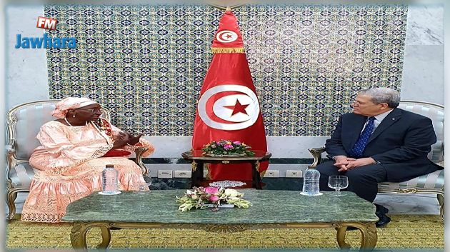 وزير الخارجية يلتقي السفيرة المالية بمناسبة انتهاء مهامها