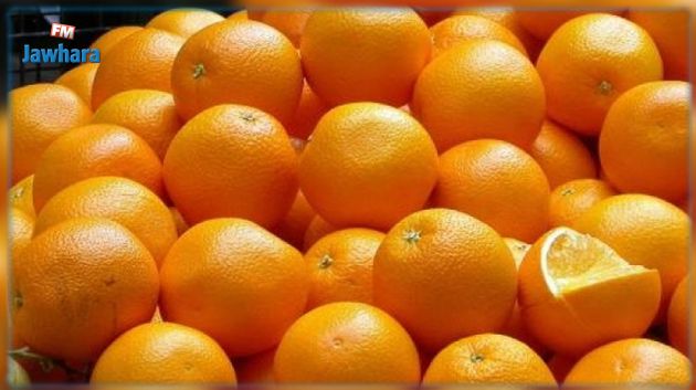 نابل: انطلاق تصدير البرتقال المالطي بداية من يوم غد السبت