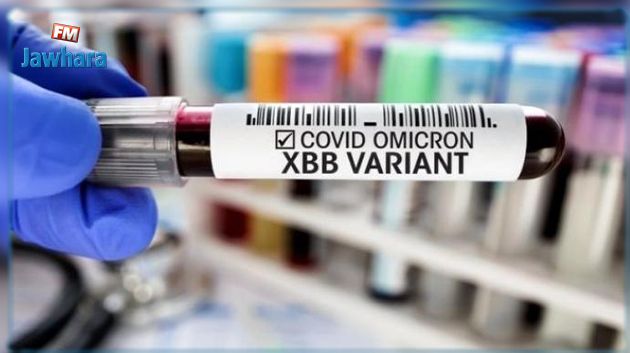منظمة الصحة: متحور XBB1.5 قد يكون وراء ارتفاع إصابات كورونا