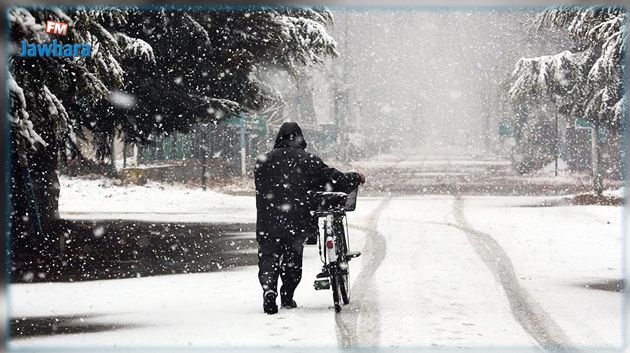 من بينها تونس: ثلوج وأمطار غزيرة متوقعة في هذه الدول