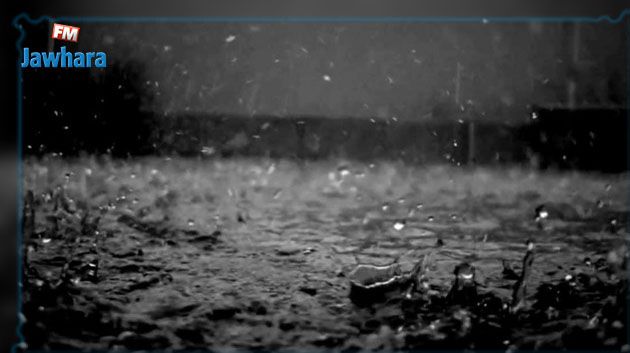 أجواء باردة وأمطار متفرقة ورعدية متوقعة هذه الليلة