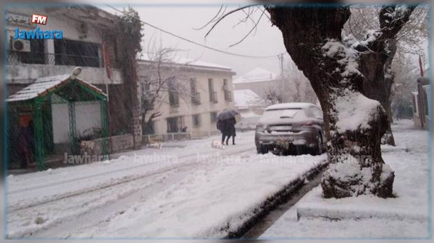 خارطة اليقظة الجوية: إسناد اللون البرتقالي لولايتي باجة وجندوبة