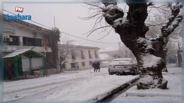 موجة ثلجية منتظرة : الحماية المدنية تحذر من التنقل الى ولاية جندوبة 