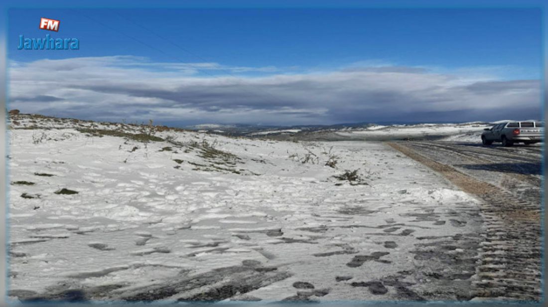 طقس اليوم: أمطار رعدية.. رياح قوية.. و تواصل تساقط الثلوج في 4 ولايات طقس اليوم: أمطار رعدية.. رياح قوية.. و تواصل تساقط الثلوج في 4 ولايات