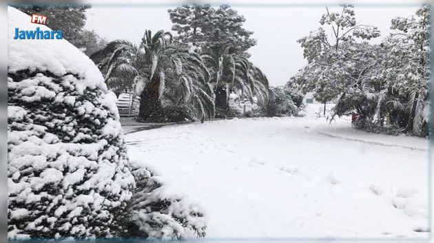 اثر تواصل تساقط الثلوج: تعليق الدروس بعدد من المناطق في جندوبة