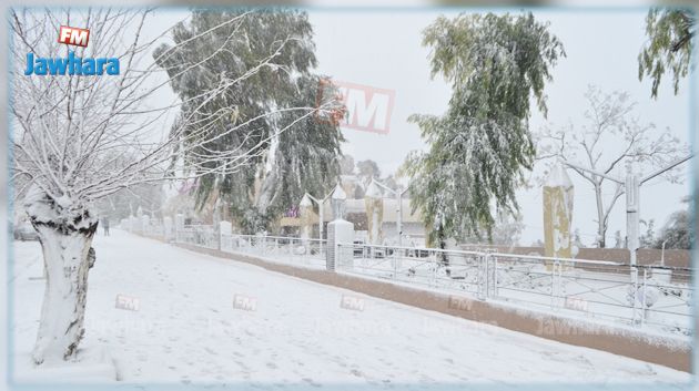 طقس الأحد : أمطار وثلوج وحرارة منخفضة