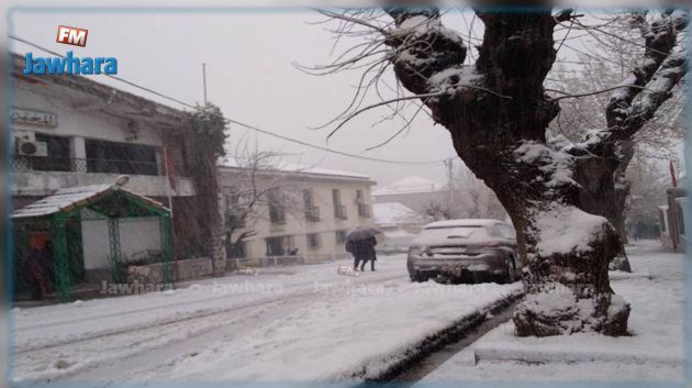 مع تهاطل كميات هامة من الثلوج : توافد الالاف على مرتفعات  جندوبة  و نسبة إمتلاء الوحدات السياحية تفوق 100 %