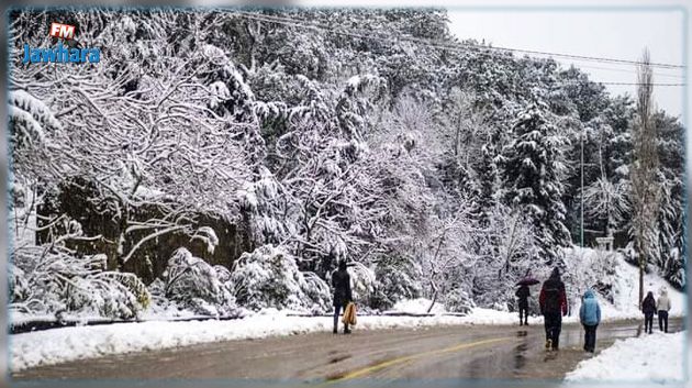 جندوبة: تحذير من موجة ثلوج ثانية وإمكانية تأجيل الانتخابات في دائرة طبرقة-عين دراهم