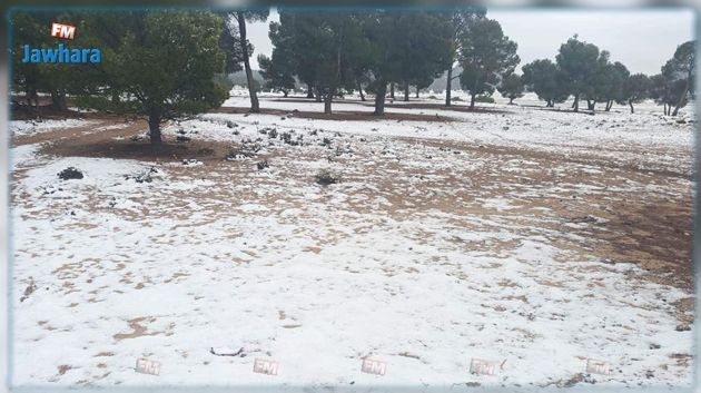 القصرين.. تساقط الثلوج بعدد من المناطق (صور)