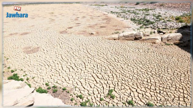 انحباس الأمطار يهدد الزراعات الكبرى 