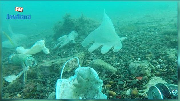 9.5 كلغ من البلاستيك تتدفق يوميا في كل 1 كلم من السواحل في تونس