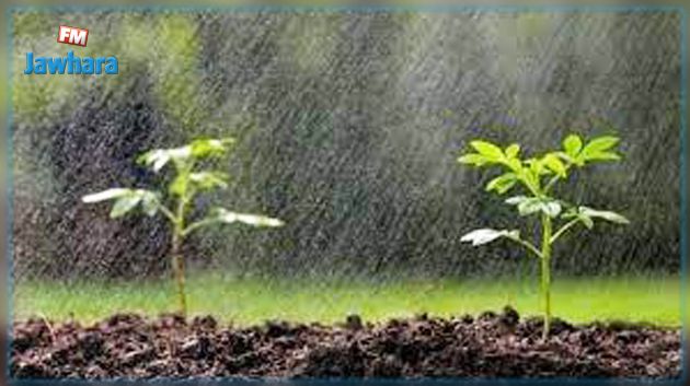 سليانة: استبشار الفلاحين بتساقط الامطار بمختلف المعتمديات