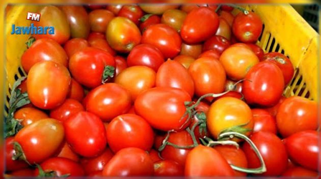 القيروان : حجز شاحنتين ليبيتين محمّلتيْن بالطماطم المصريّة