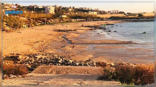 ظاهرة غريبة في شواطئ لبنان ومصر: خبراء يوضّحون