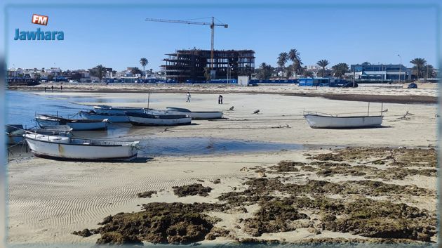 انحسار مياه البحر بسواحل تونسية.. ما الحكاية؟